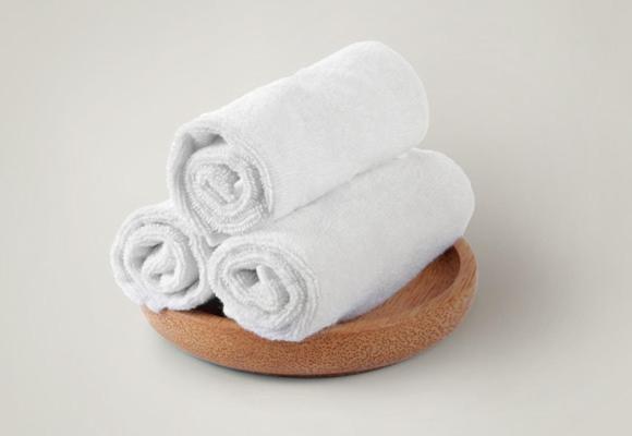 ENZO HOTELS GREEN proximité ZENITH D' AUVERGNE Ex F1 FORMULE 1 CLERMONT FERRAND ISSOIRE COUDES