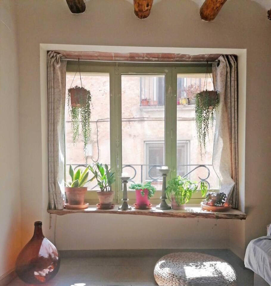 Disfruta de una escapada Rural en Ca la Lola