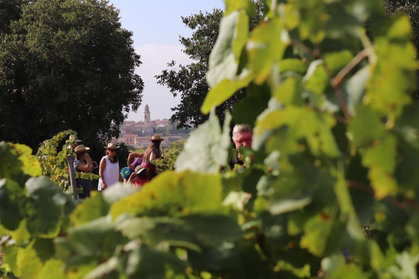 Disfruta de una escapada Rural en Ca la Lola