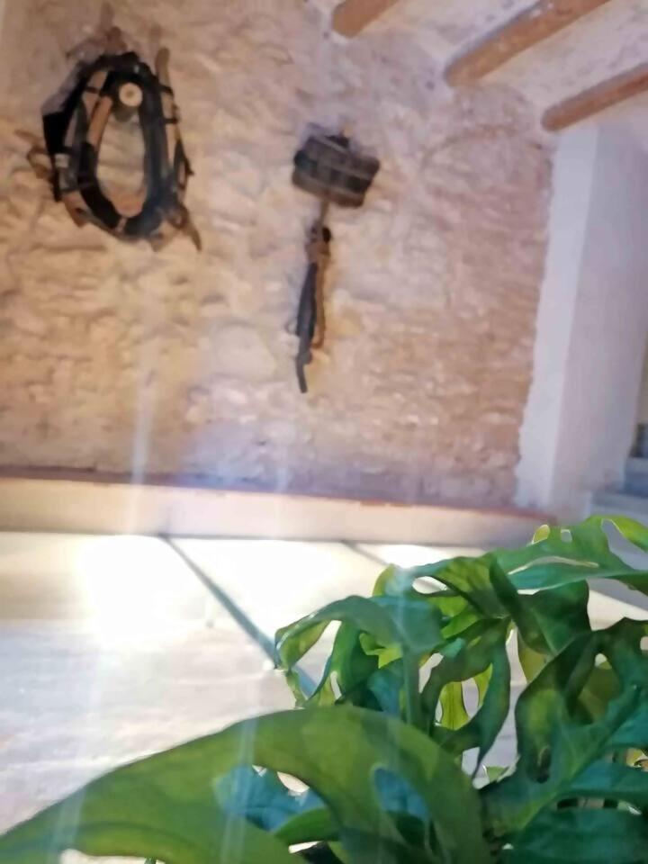 Disfruta de una escapada Rural en Ca la Lola