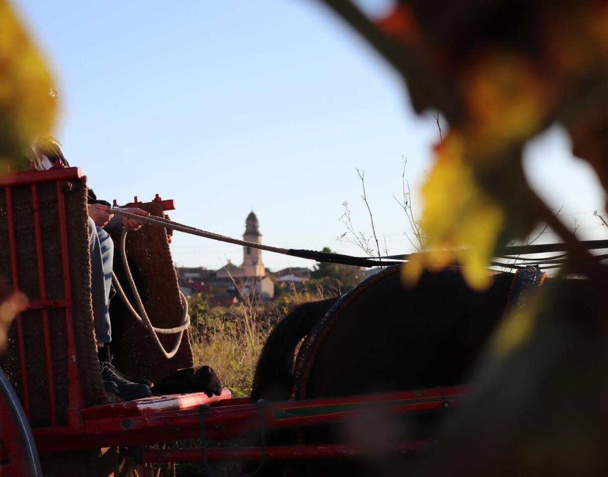 Disfruta de una escapada Rural en Ca la Lola