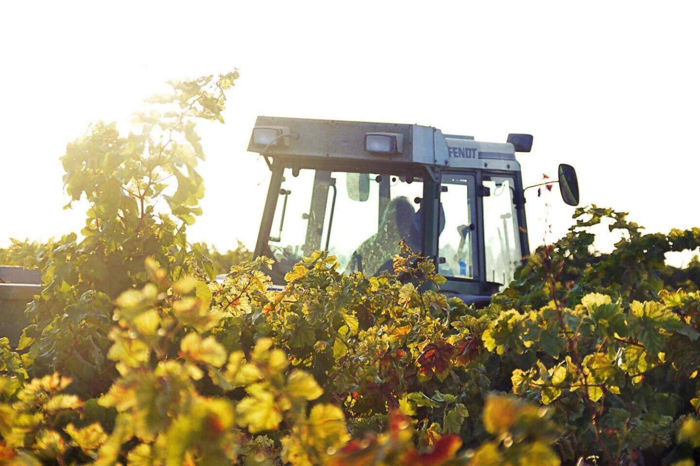 Disfruta de una escapada Rural en Ca la Lola