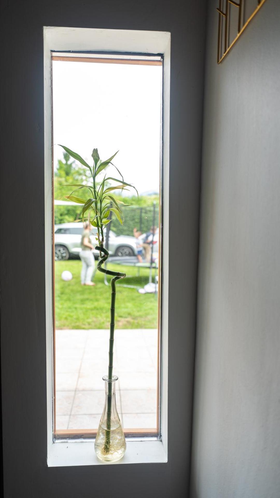 Inner courtyard view