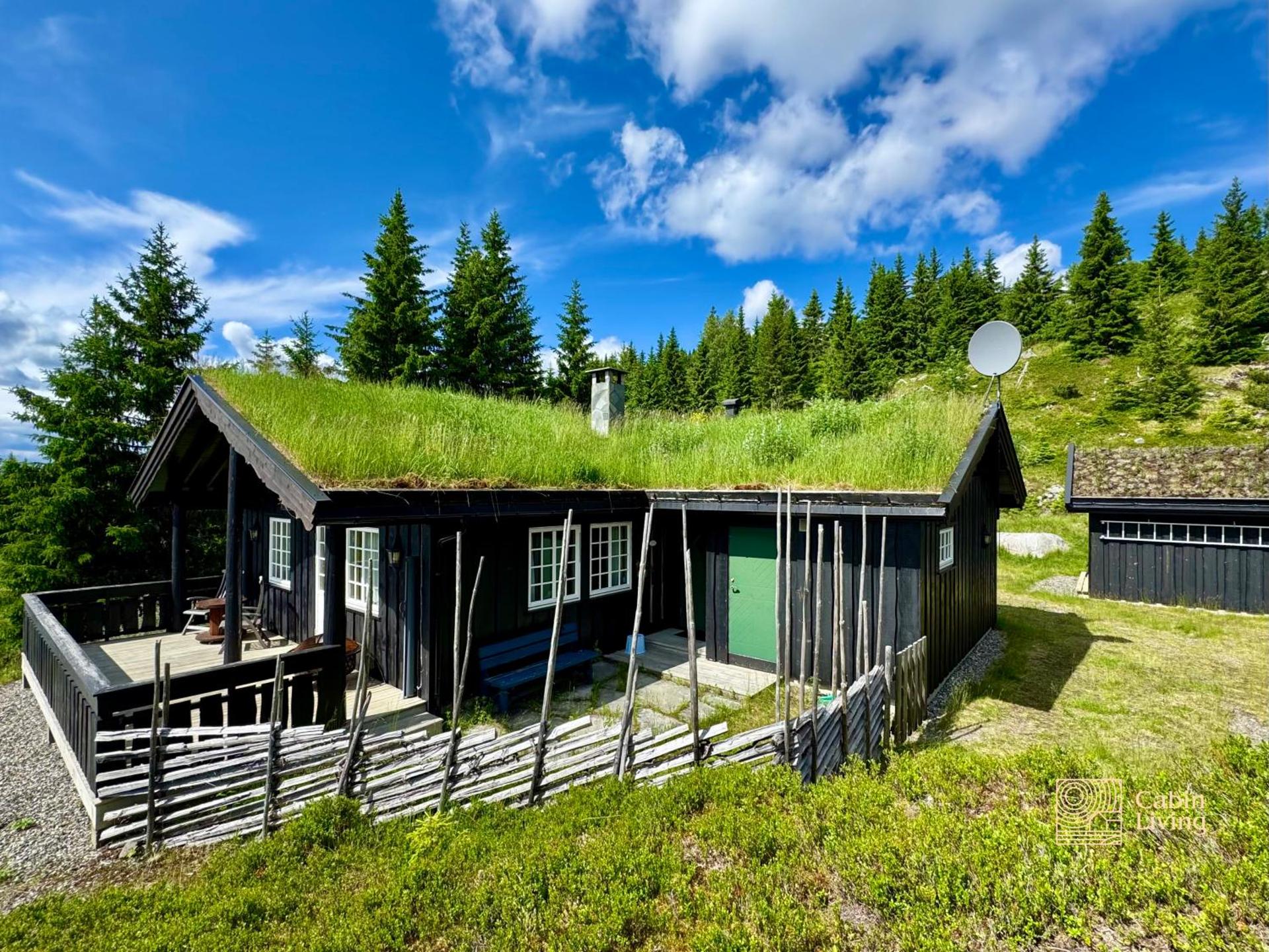 Cozy spacious cabin with sauna at Natrudstilen