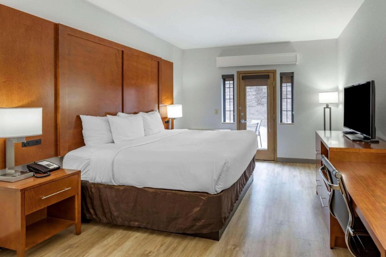 King Suite with Sofa Bed - Non-Smoking/Pet Friendly