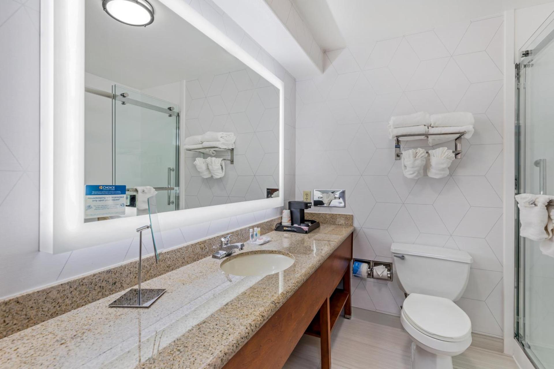 King Suite with Sofa Bed - Non-Smoking  (No Pets Allowed)