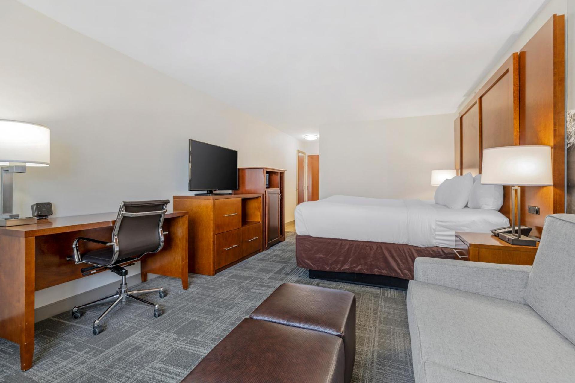 King Suite with Sofa Bed - Non-Smoking  (No Pets Allowed)