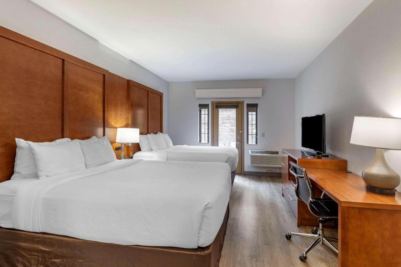 Queen Suite with Two Queen Beds and Sofa Bed - Pet Friendly/Non-Smoking