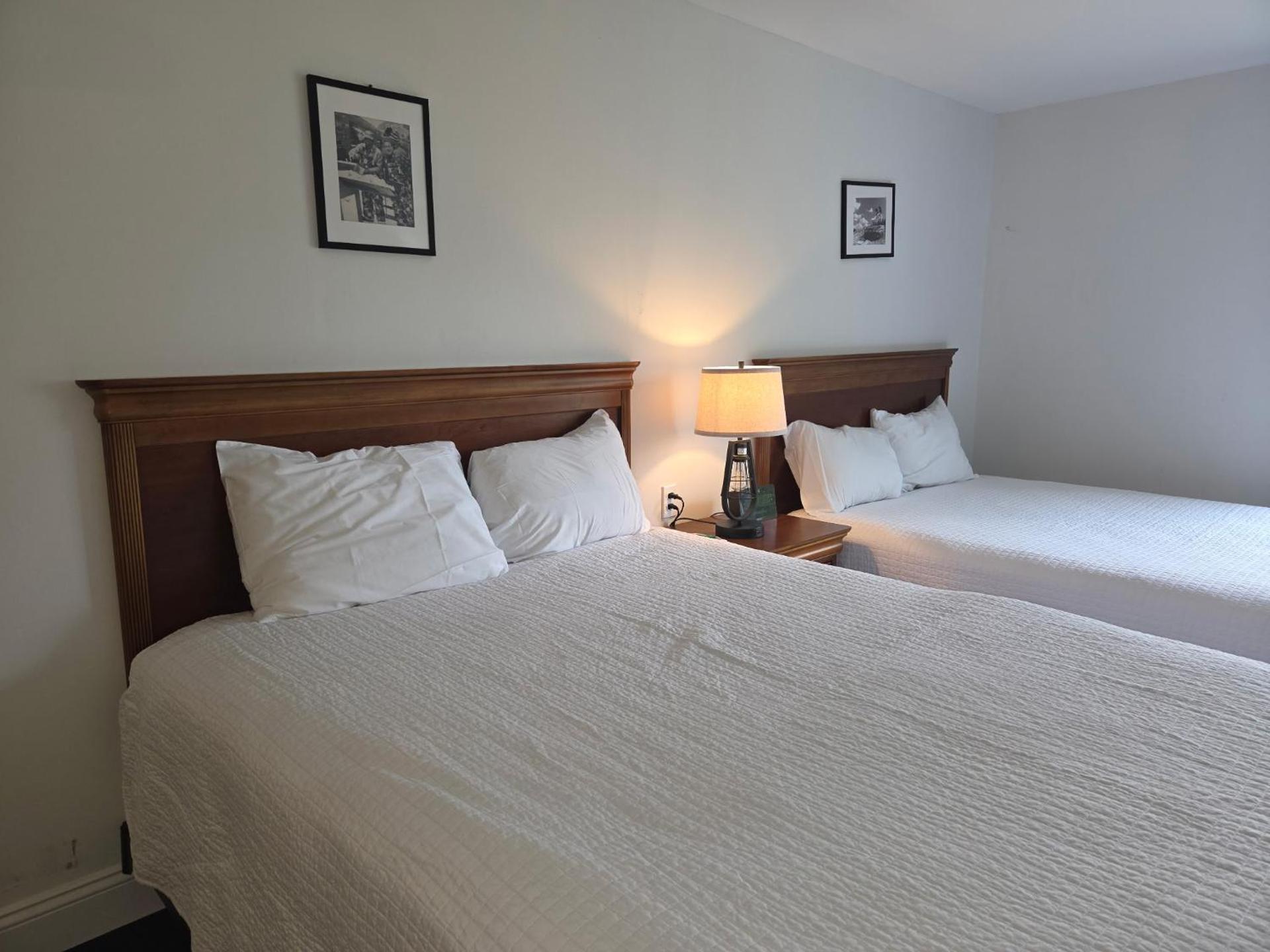 Superior Efficiency Queen Room with Pull-Out Sofa