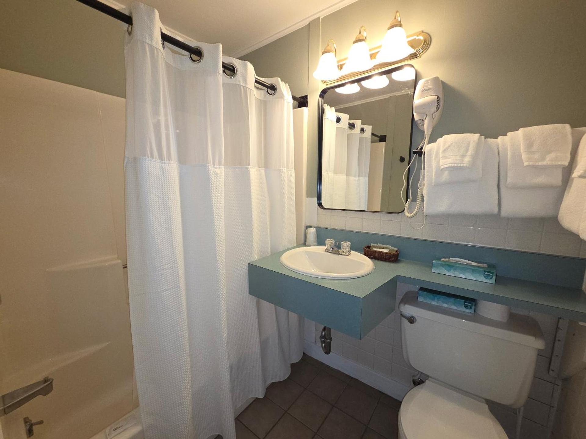 Superior Efficiency Queen Room with Pull-Out Sofa