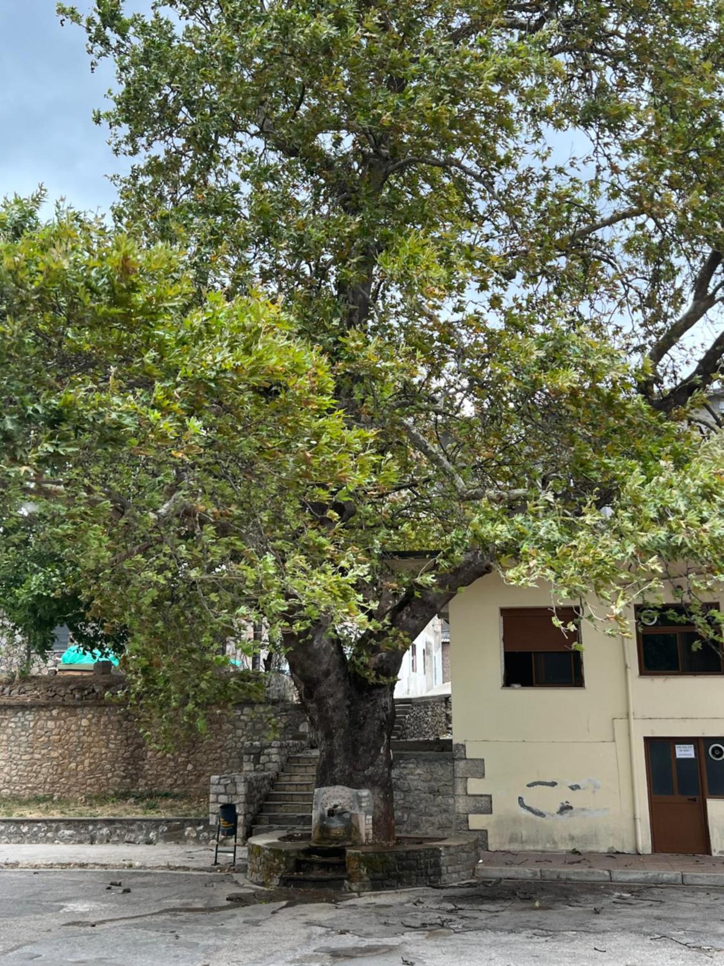 Hotel Restorant JORGO