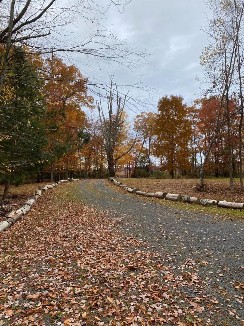 Secluded Greekside Cabin near Camelback