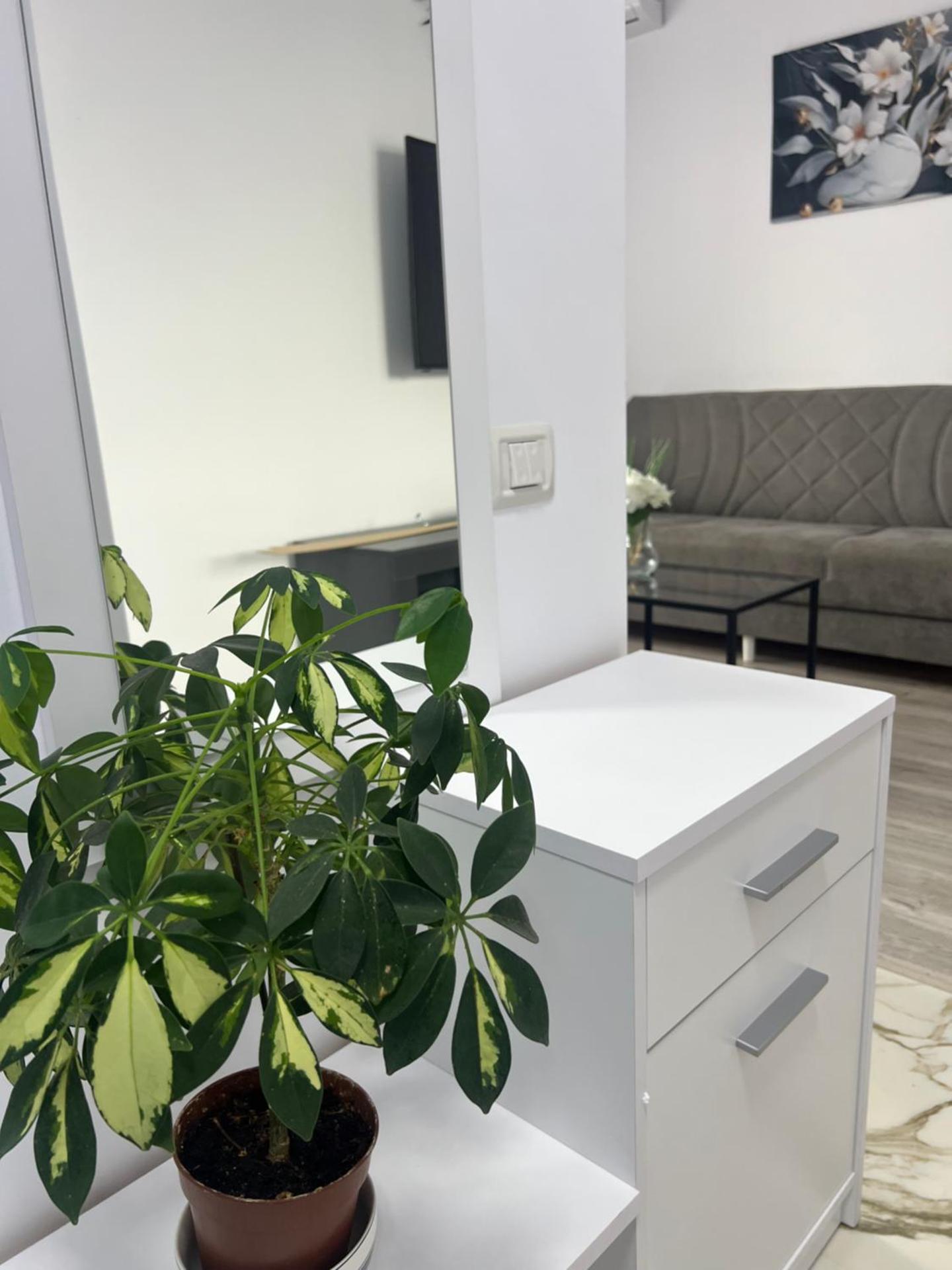 Anastasia Dragonul Roșu Spitalul Fundeni