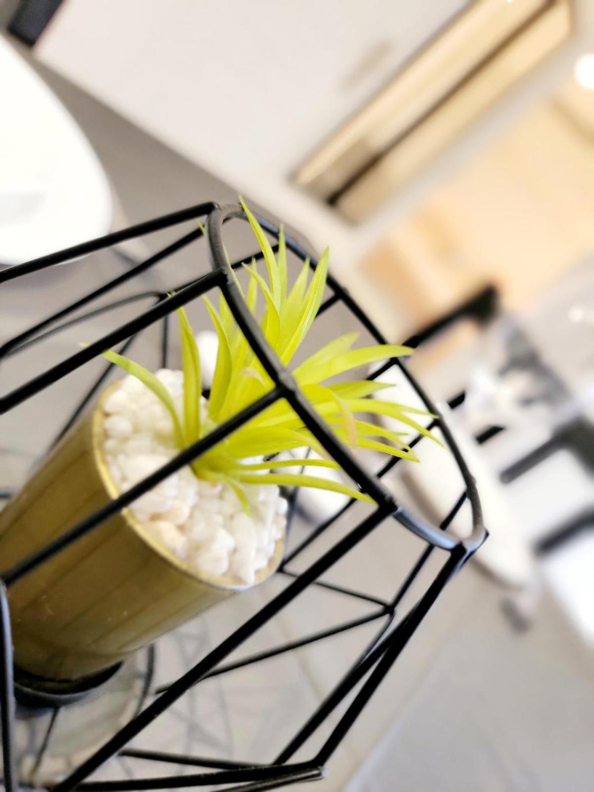 Magnifique logement indépendant "Les Coquelicots", terrasse proche des plages et Montpellier