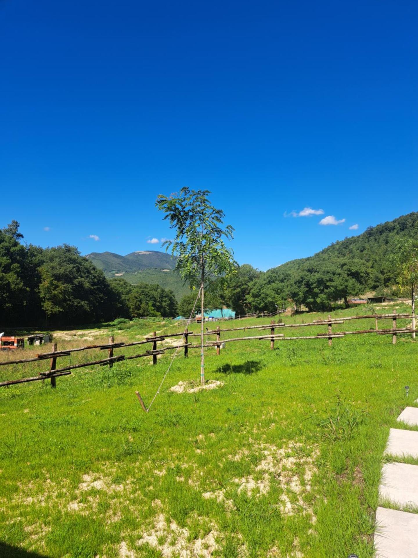 Agriturismo Natura e Gusto fattoria didattica