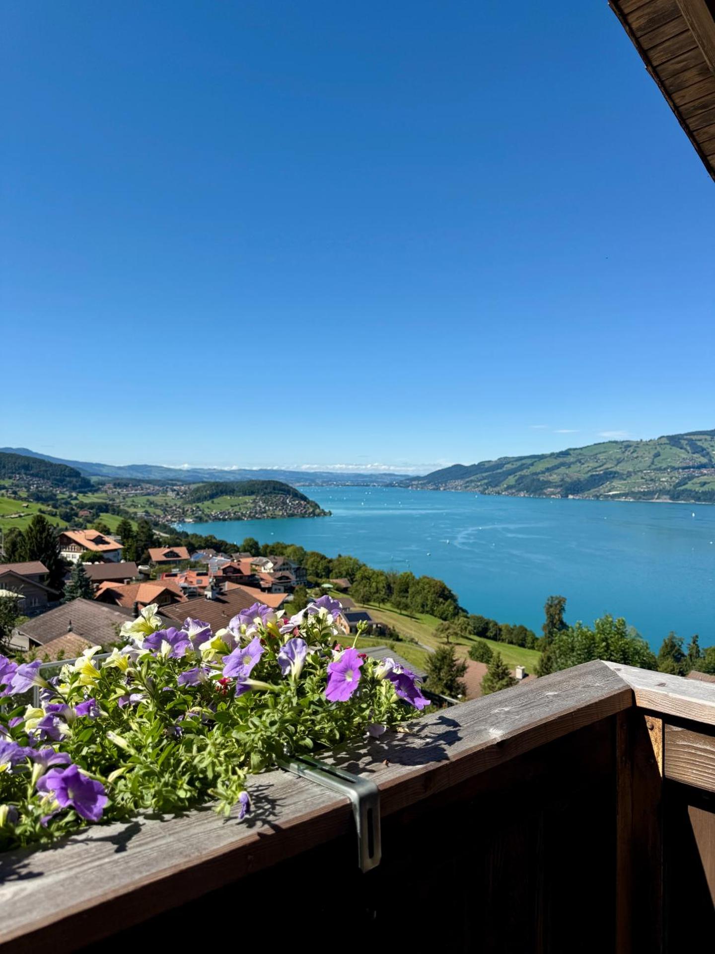 View (from property/room)