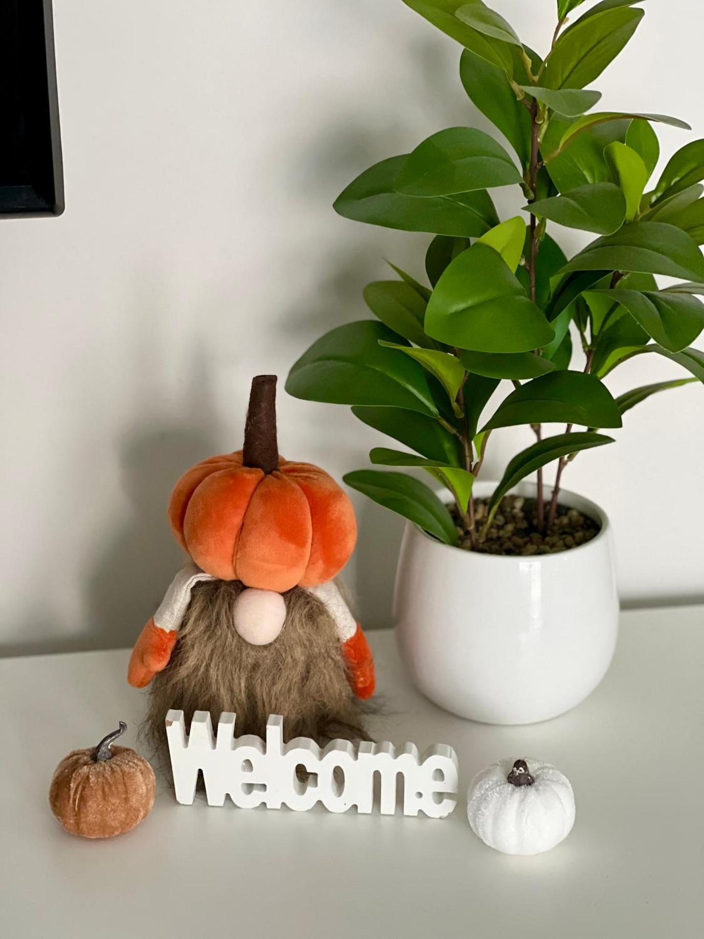 Downtown Dream Apartmans