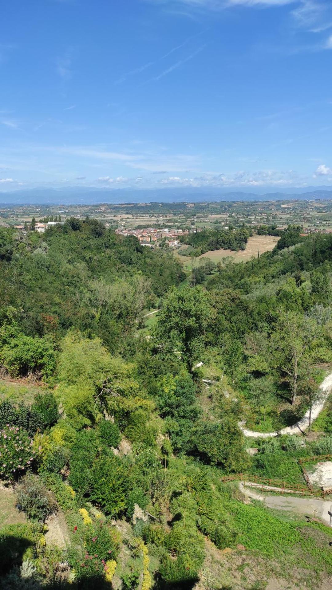 View (from property/room)