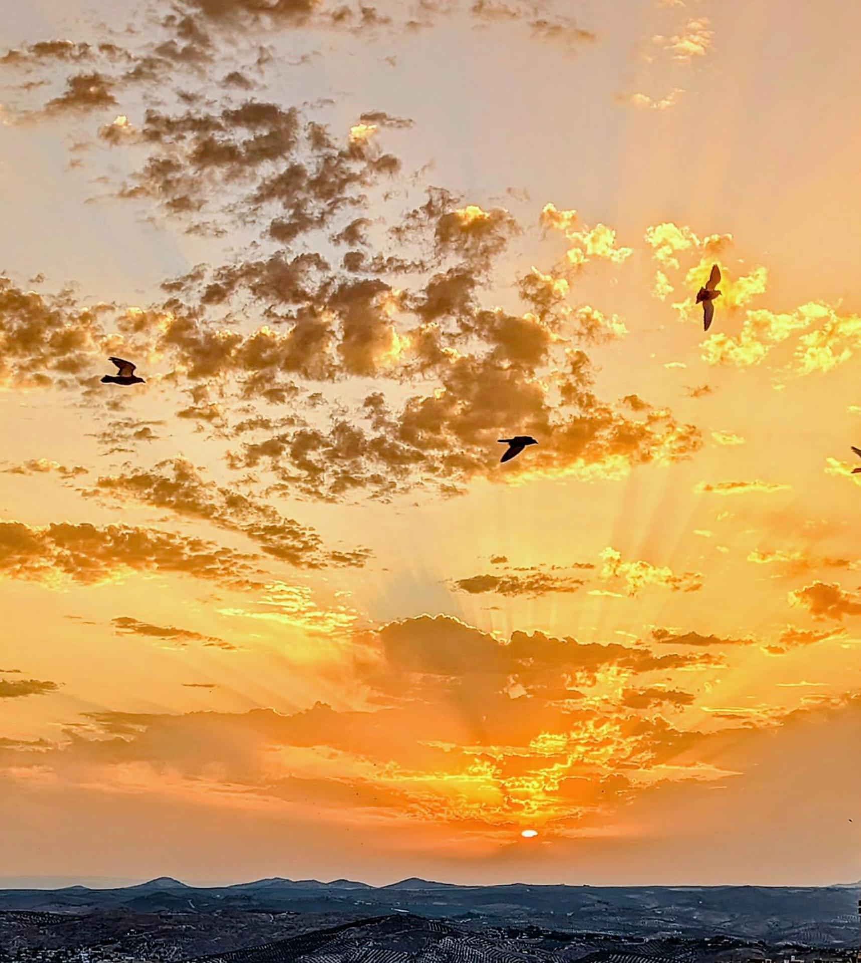 Los Caños - Calm home & parking