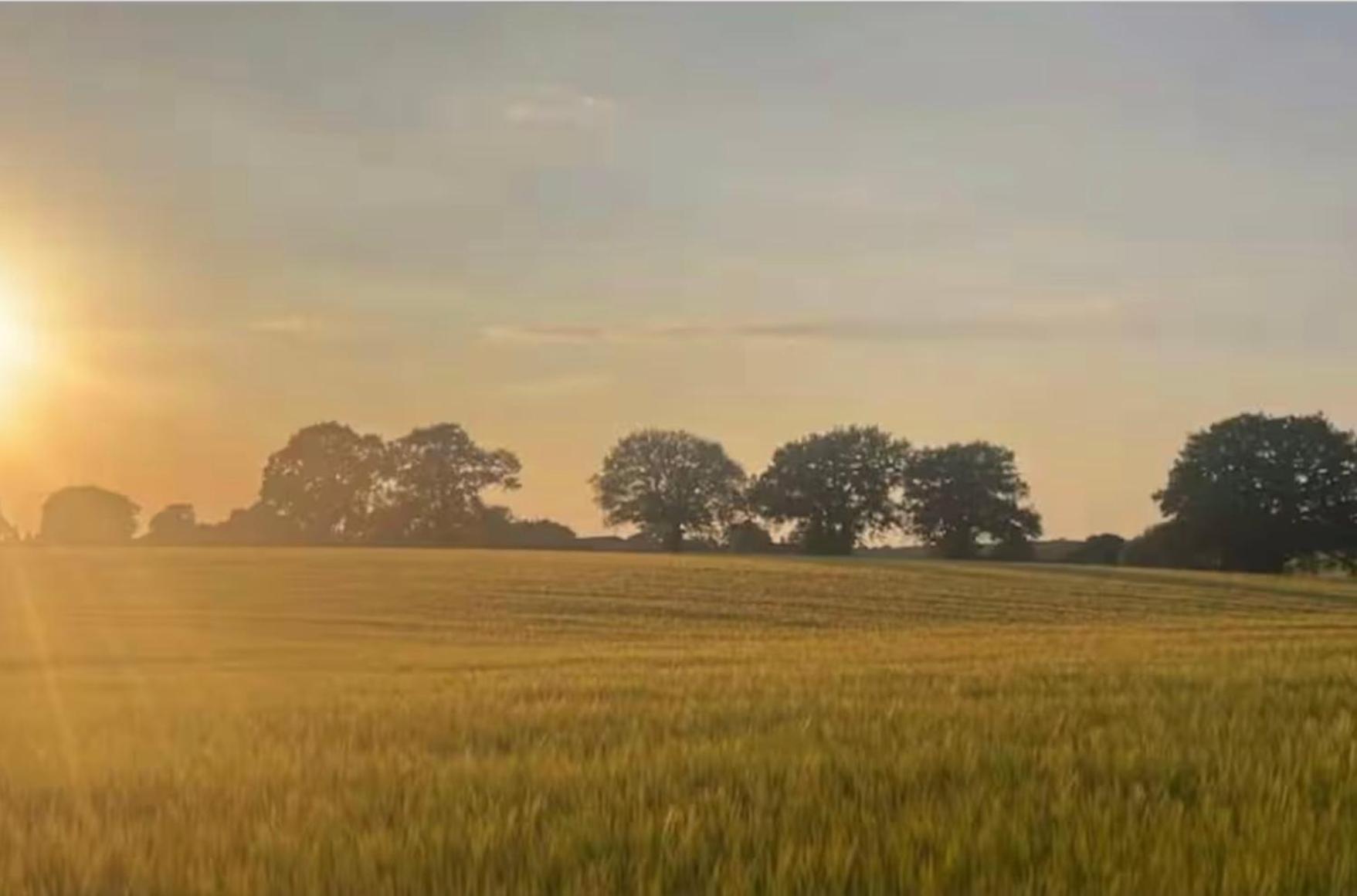 Tranquil detached barns in Sherborne St John