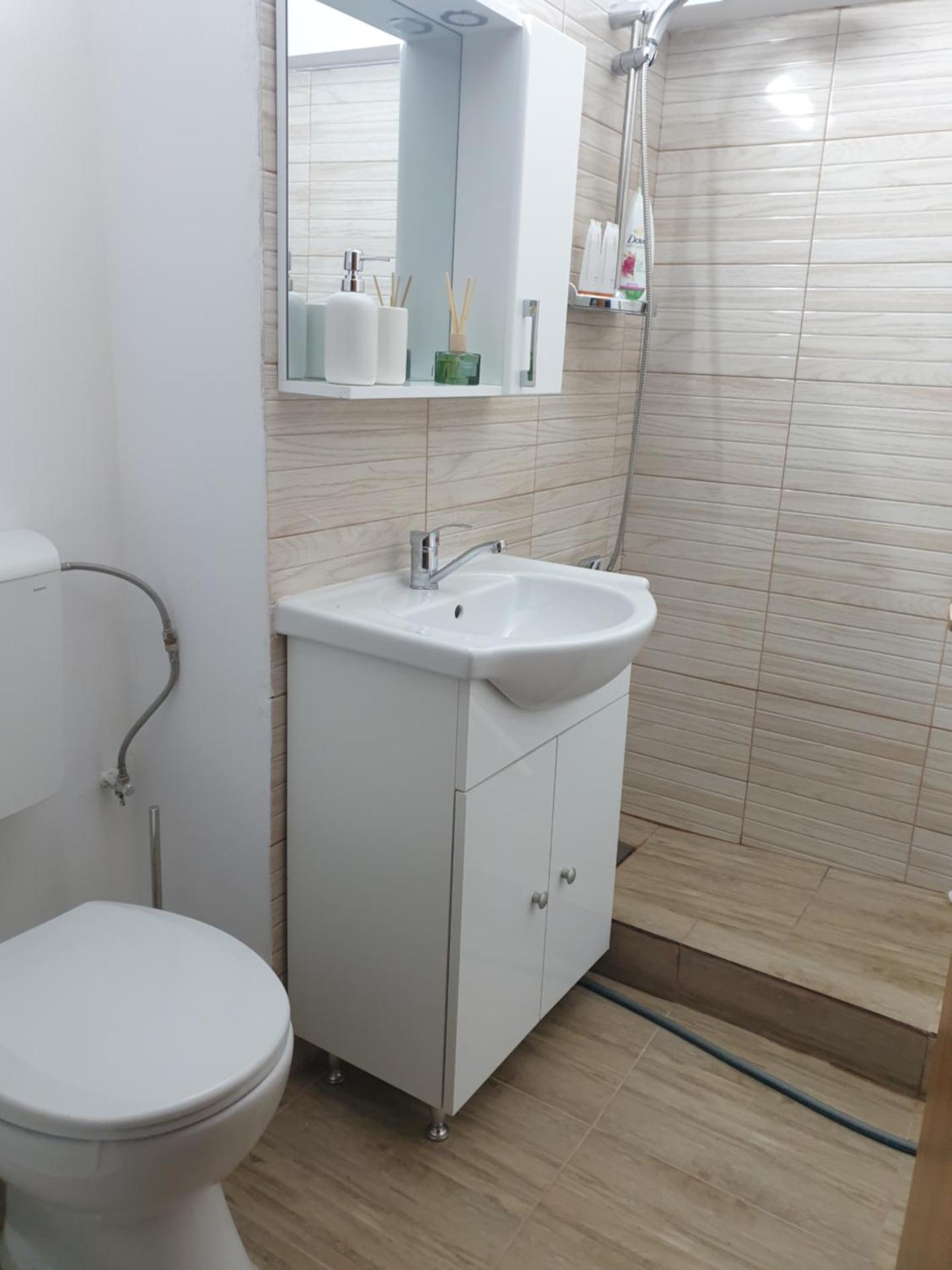 Brancoveanu Avenue Apartament