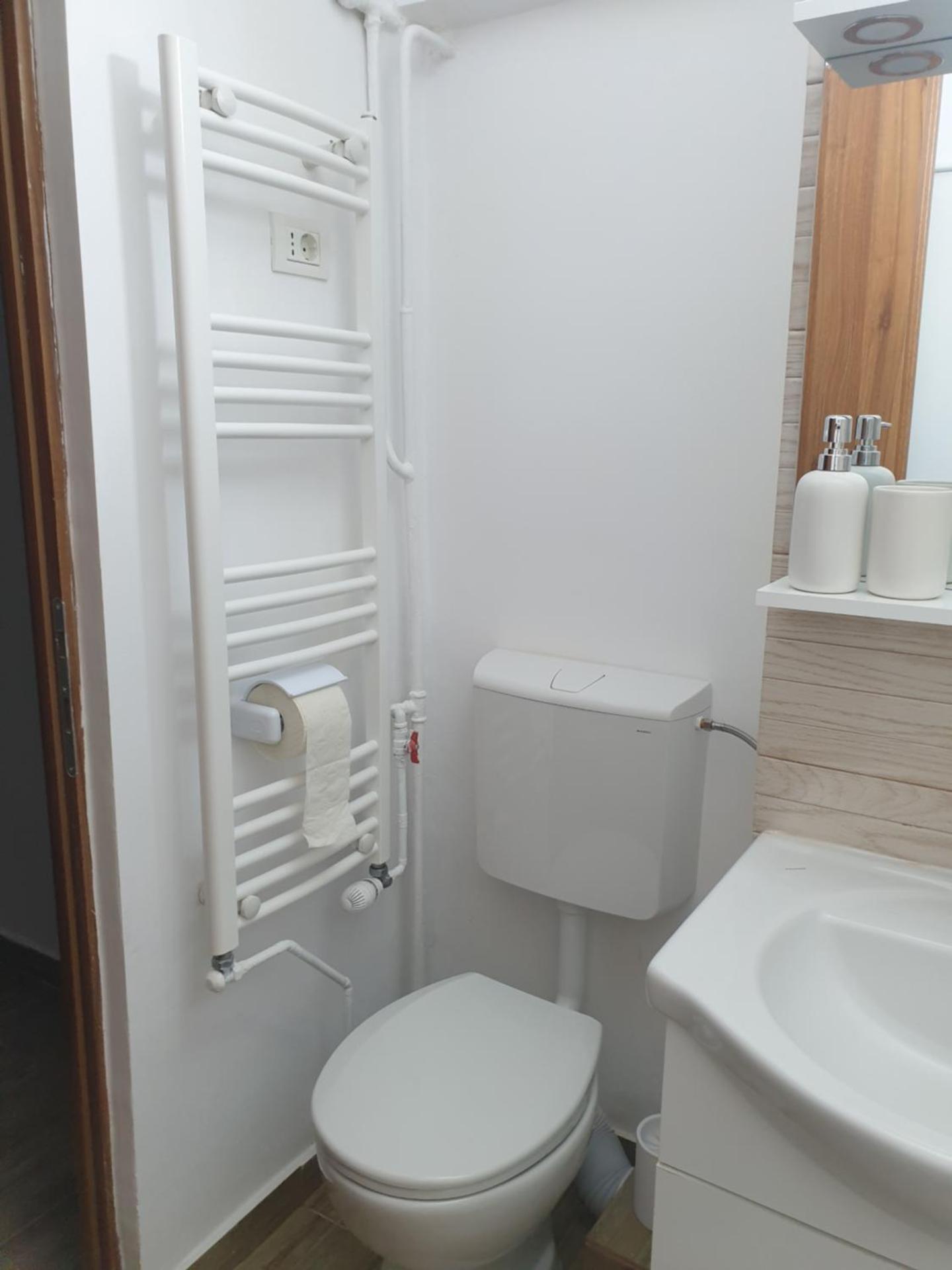 Brancoveanu Avenue Apartament
