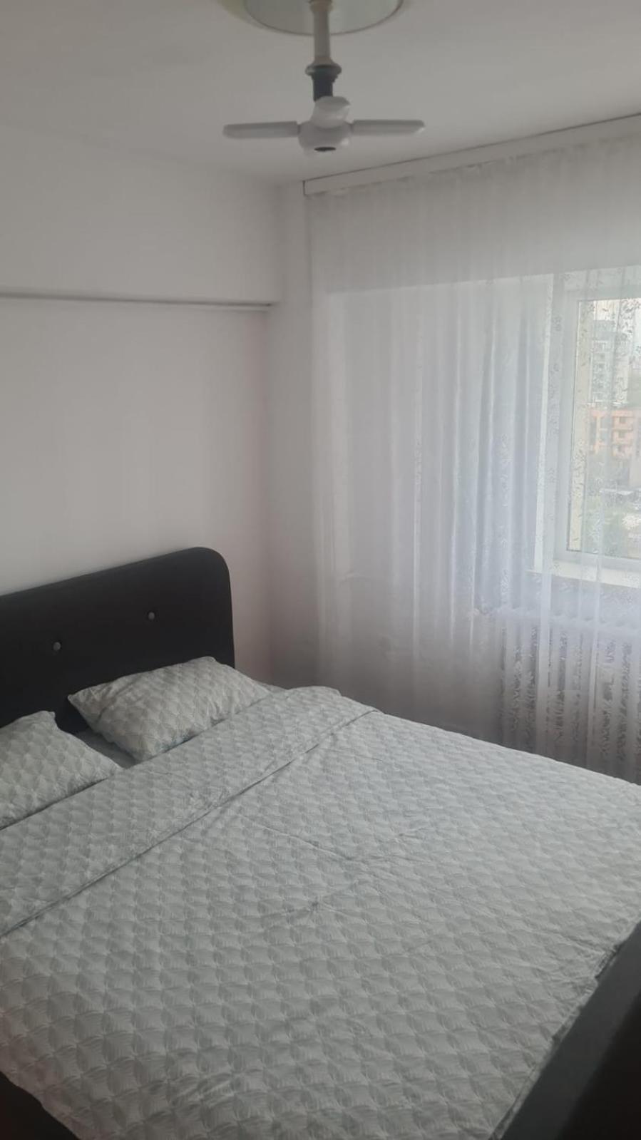 Brancoveanu Avenue Apartament