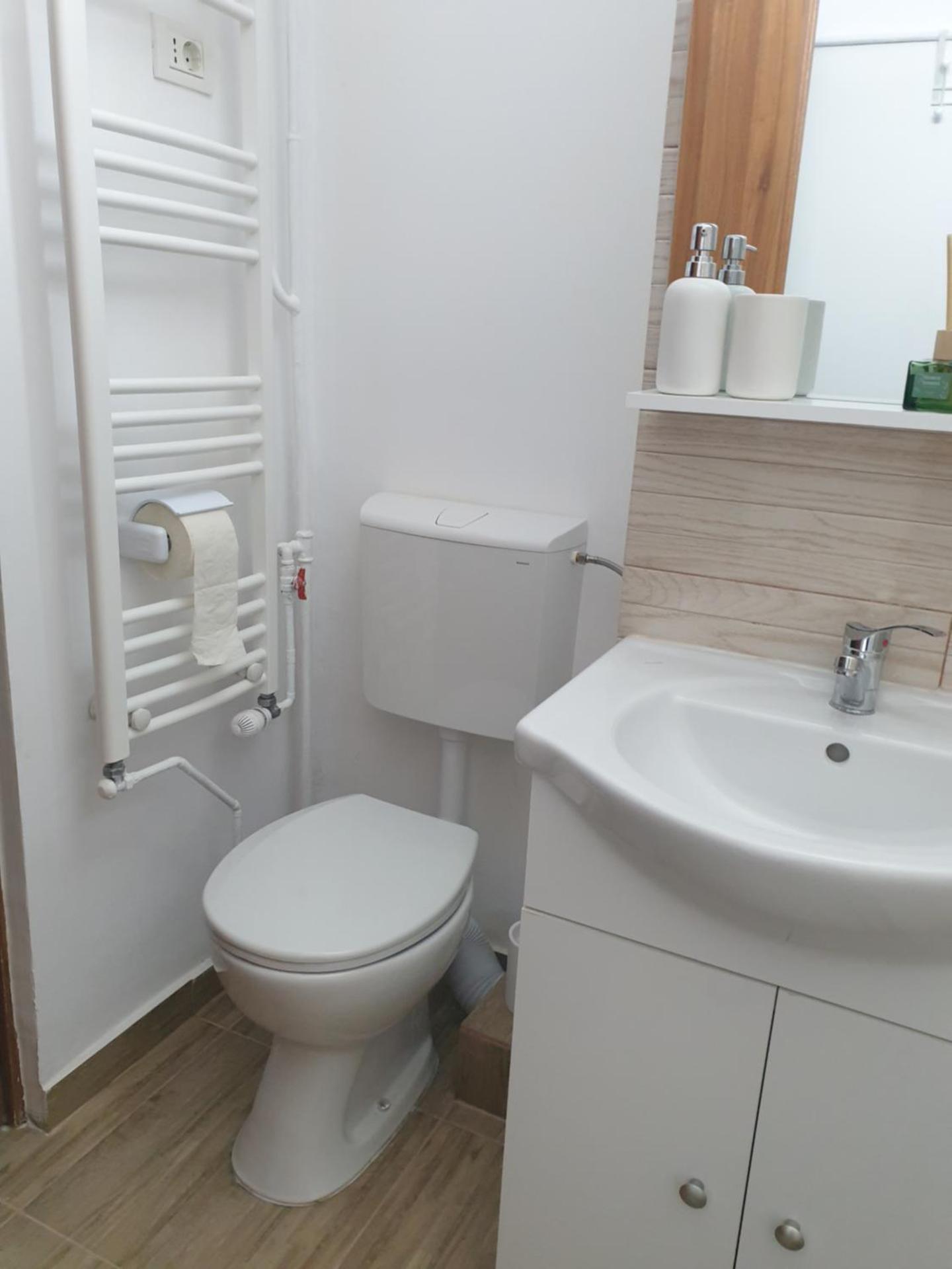 Brancoveanu Avenue Apartament