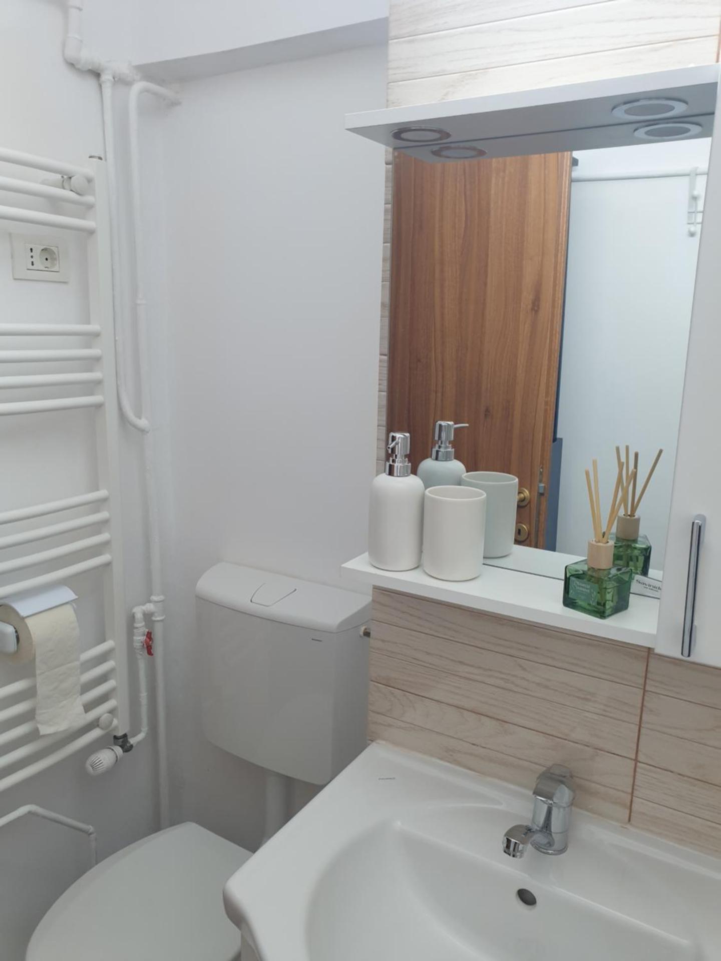 Brancoveanu Avenue Apartament