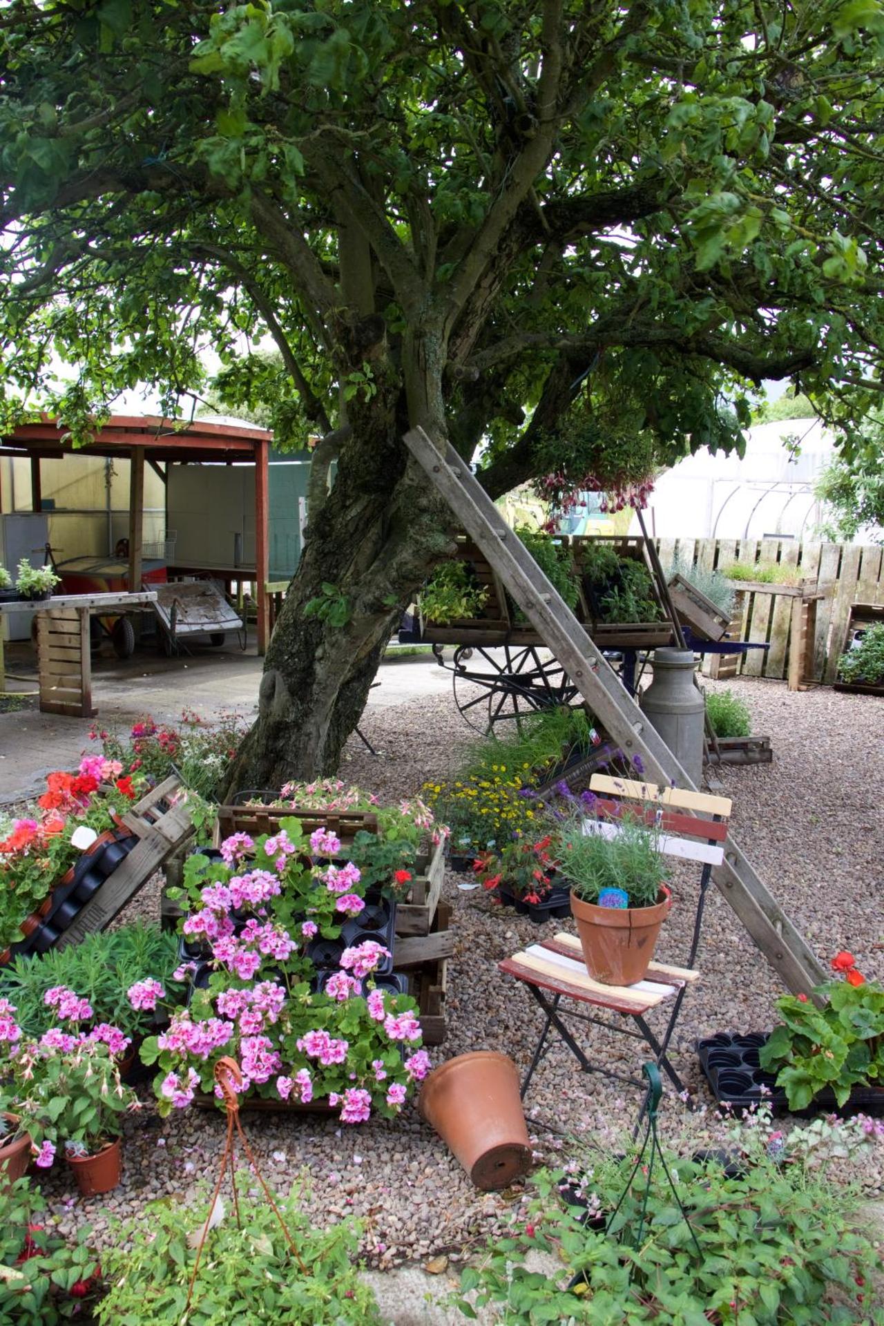 Supermarket/grocery shop