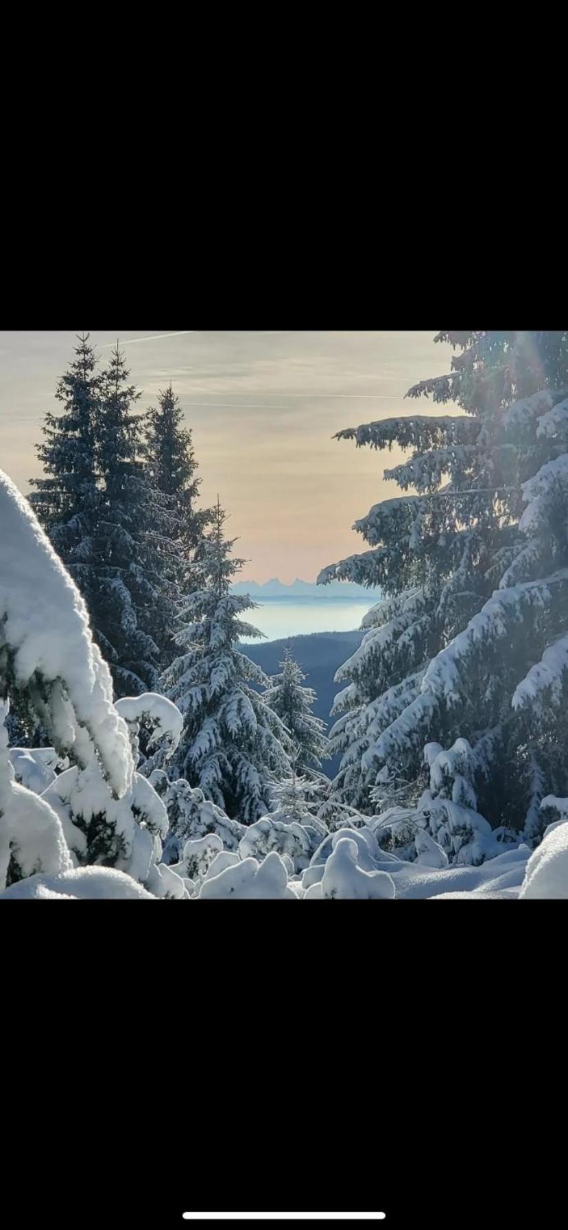 Mobile home 6personnes ,Alsace , munster France