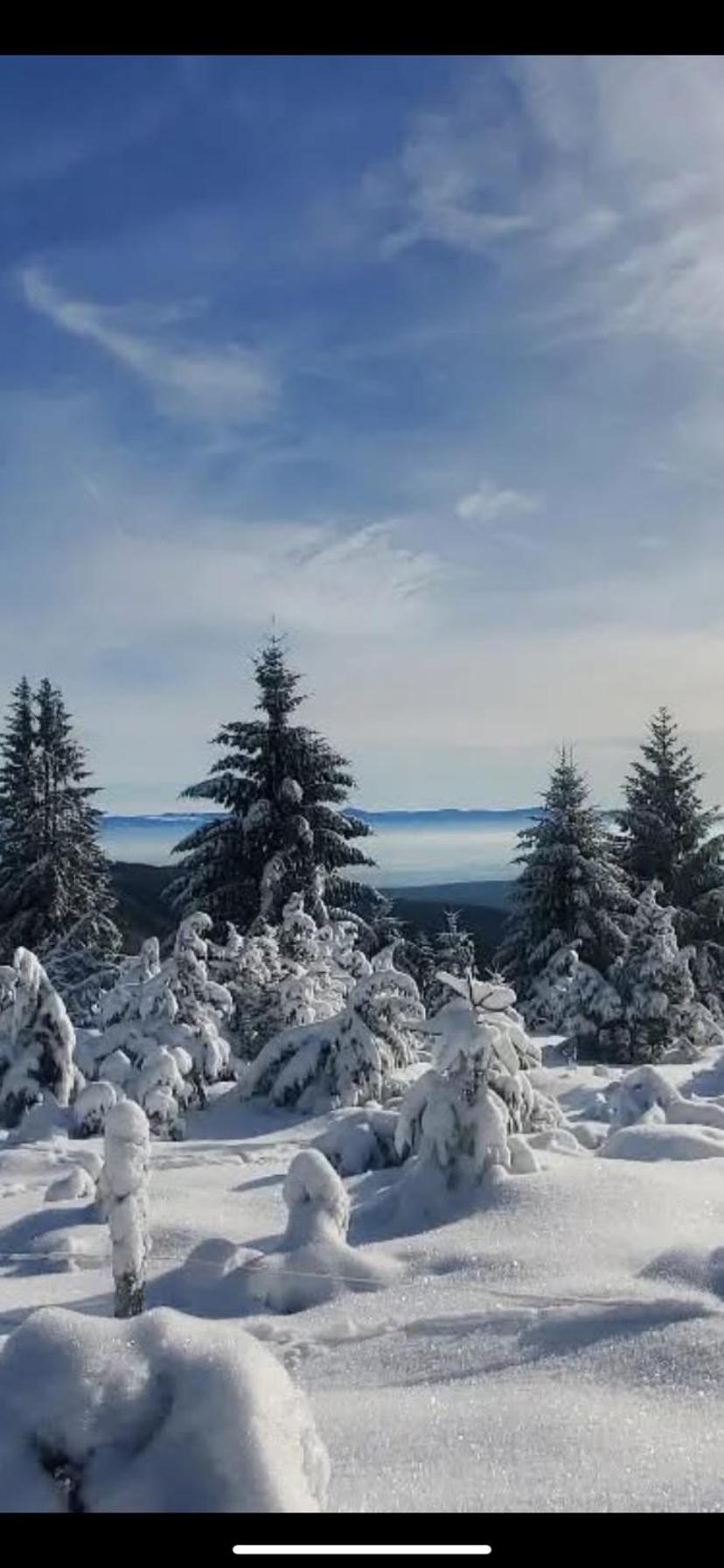 Mobile home 6personnes ,Alsace , munster France