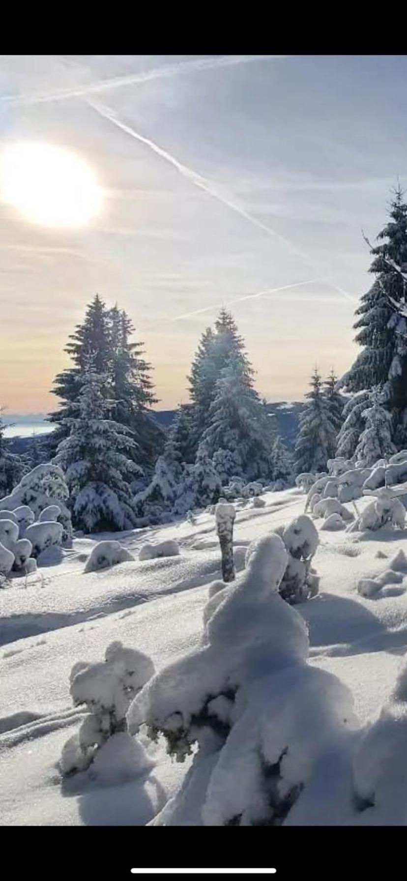 Mobile home 6personnes ,Alsace , munster France