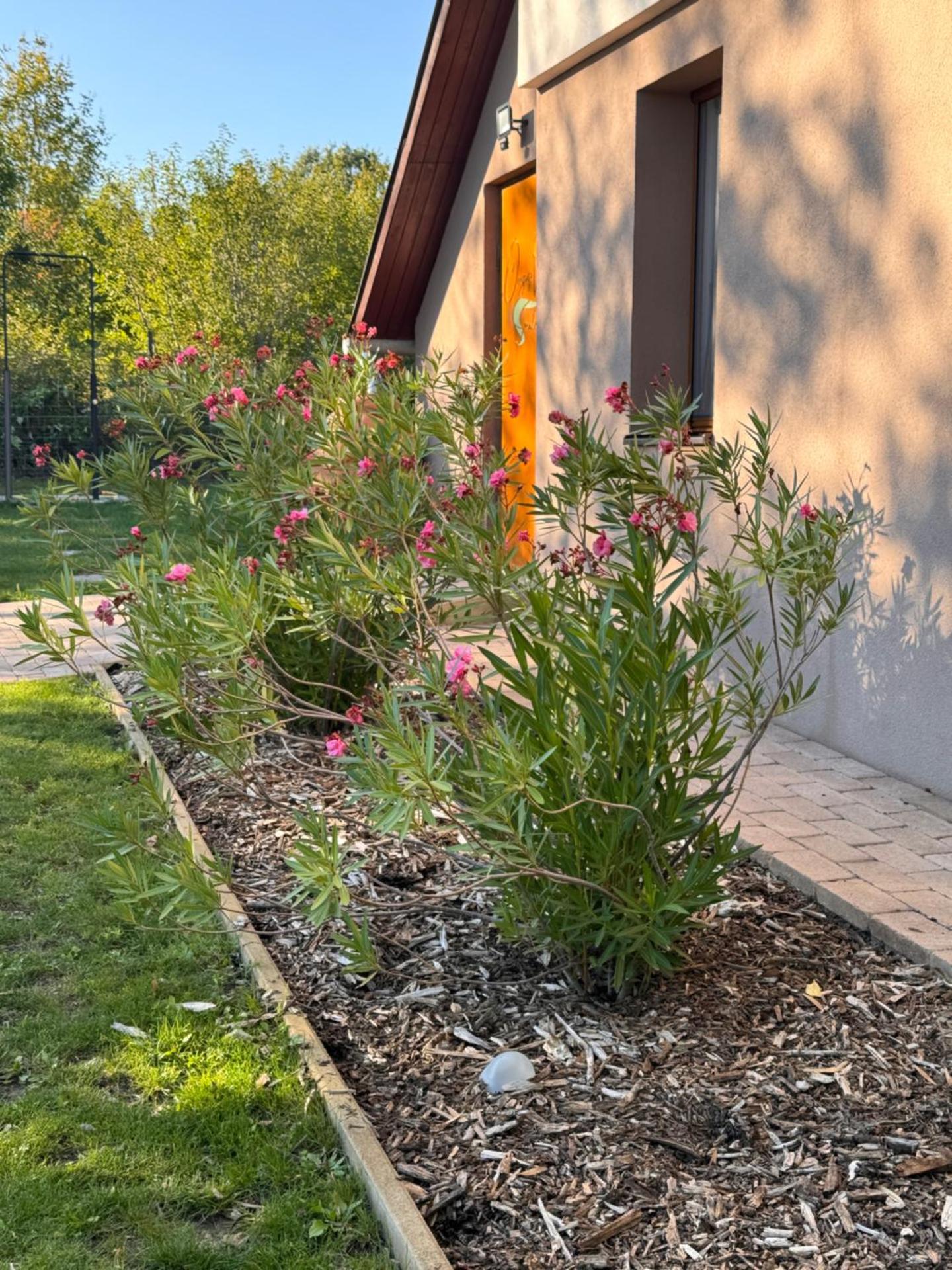 Öregvíz Vendégház