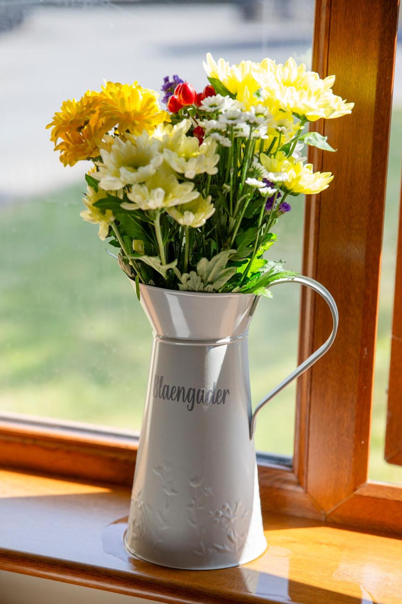 Aberystwyth Dinas Cottage