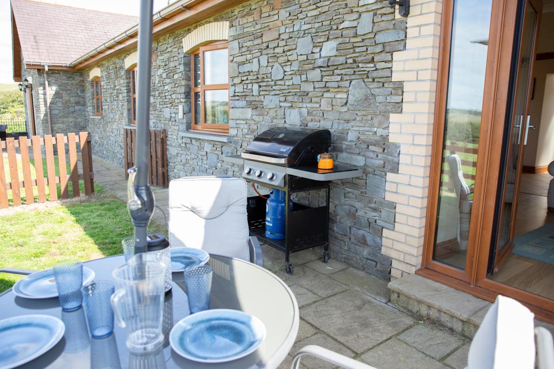 Aberystwyth Dinas Cottage