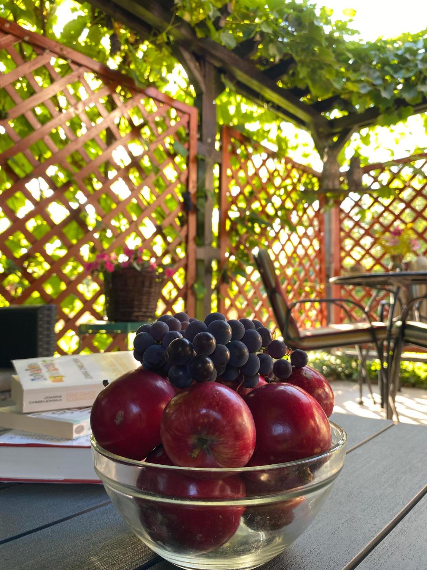 Zielone Okiennice Łagów