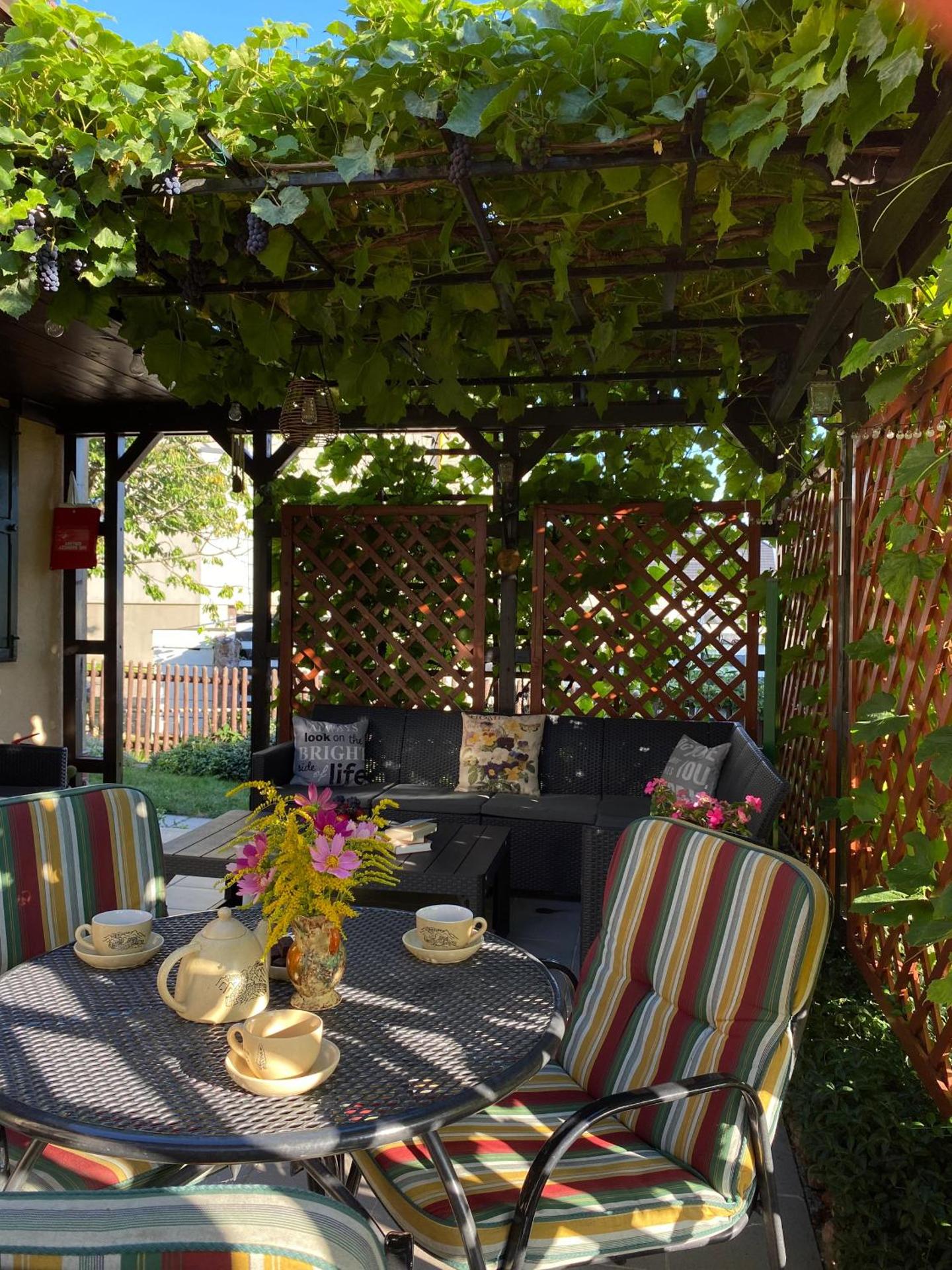 Zielone Okiennice Łagów