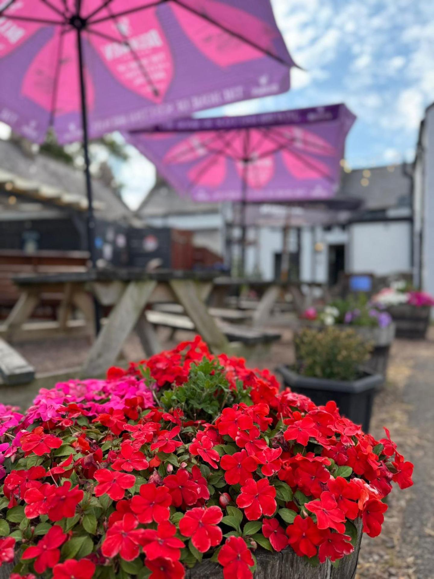 THE Waterloo Arms Hotel