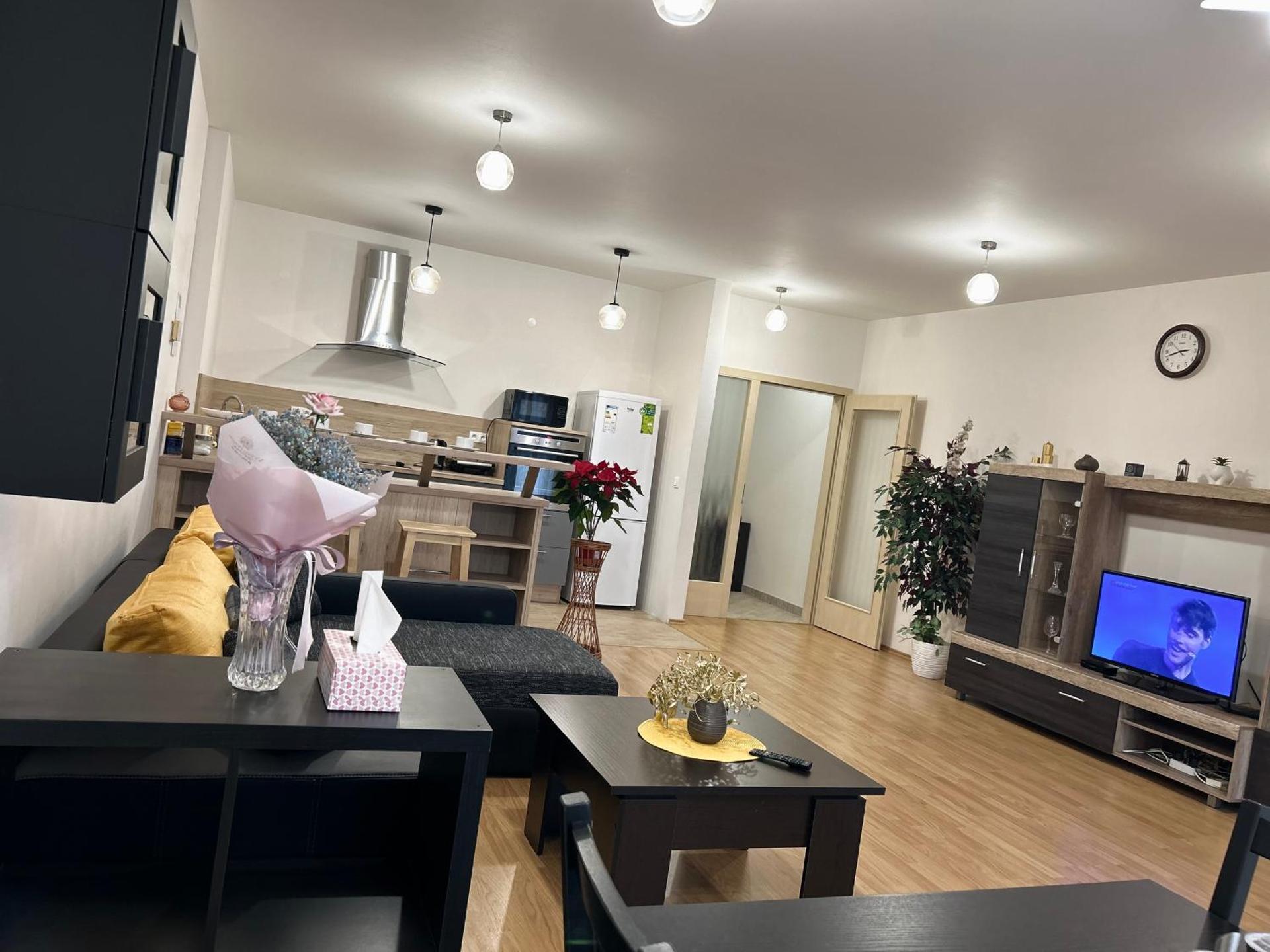 Apartmán v srdci Poděbrad 100m2