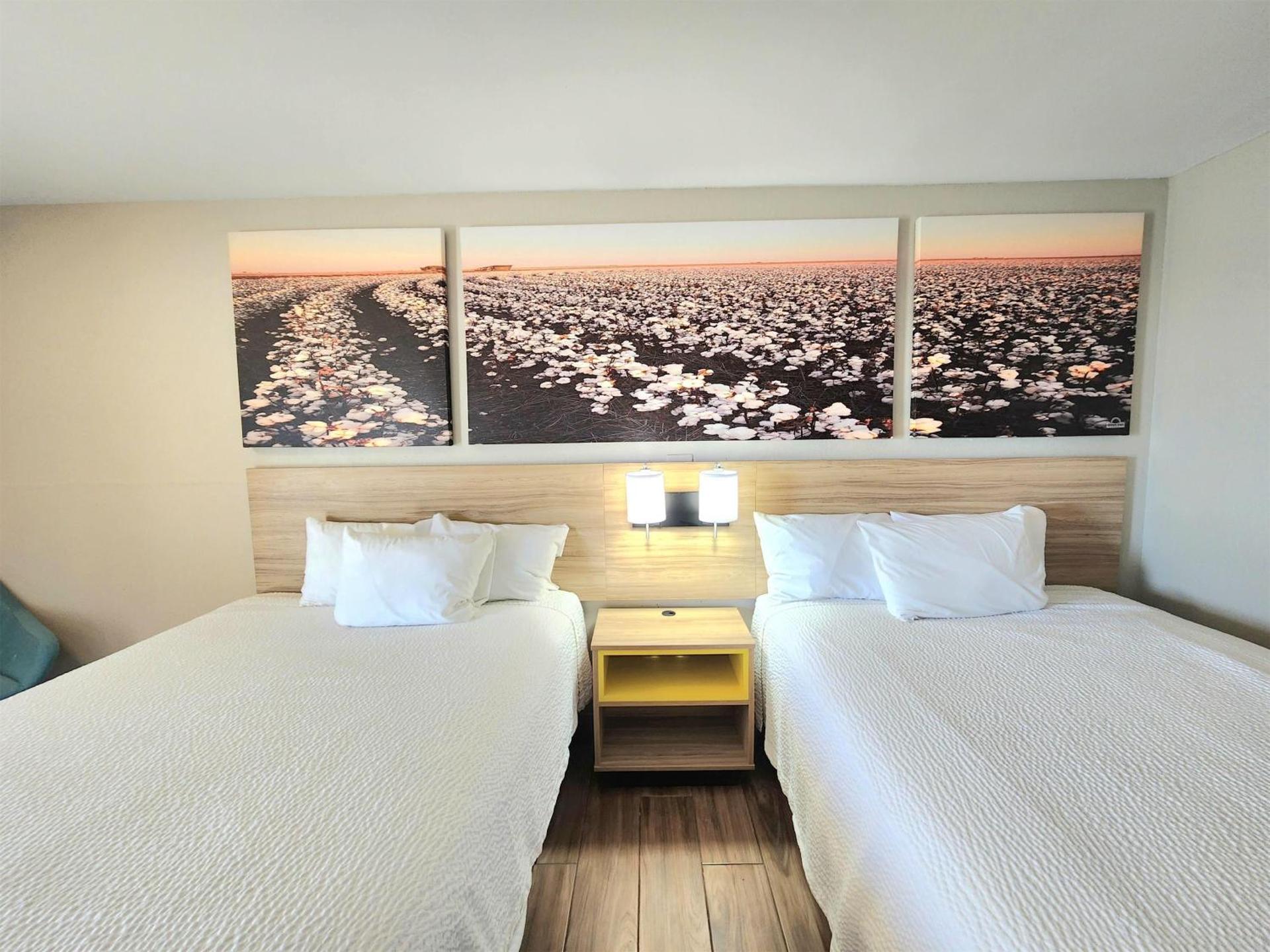 Photo of the whole room