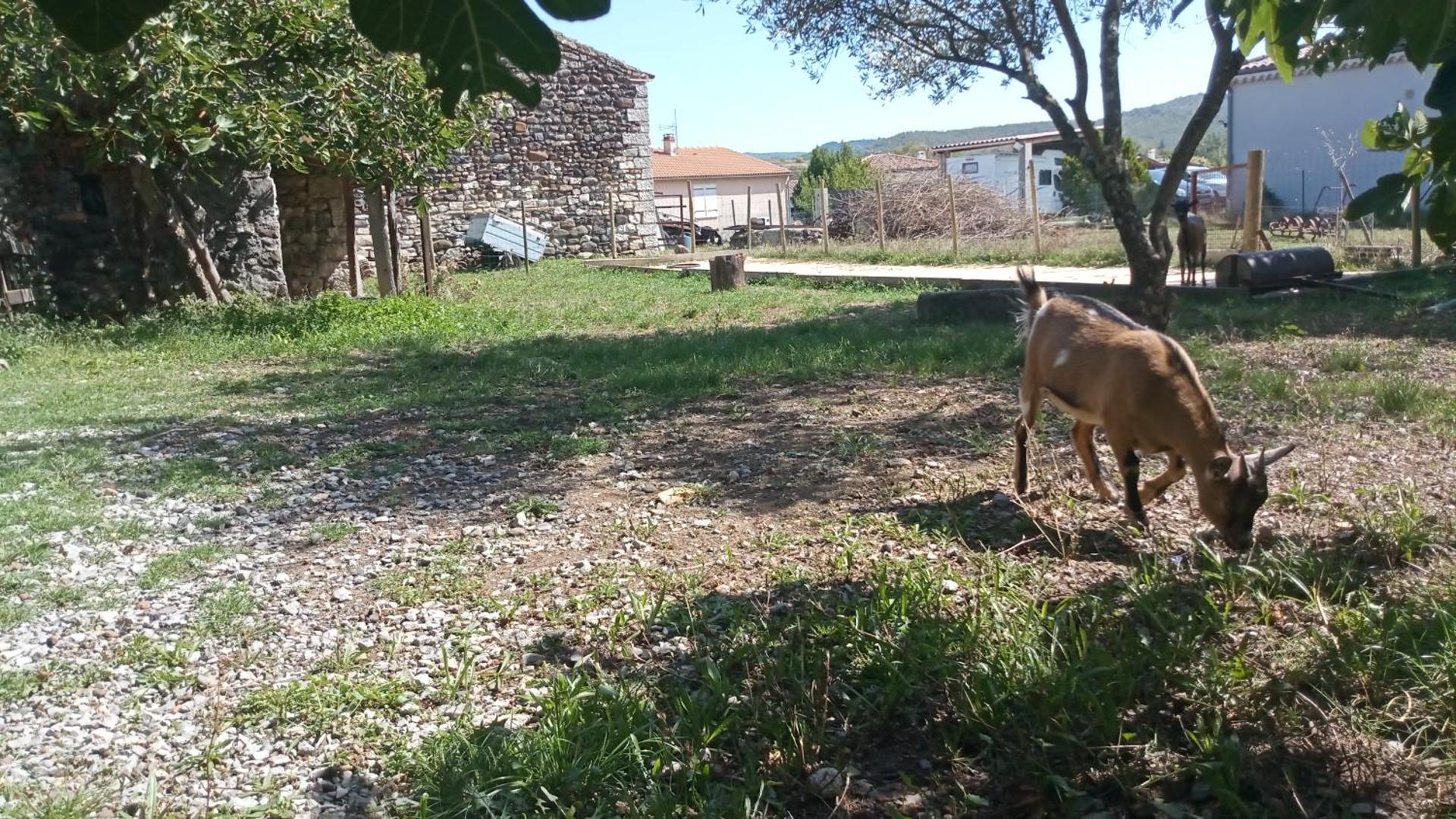 Maison sud Ardèche lavilledieu