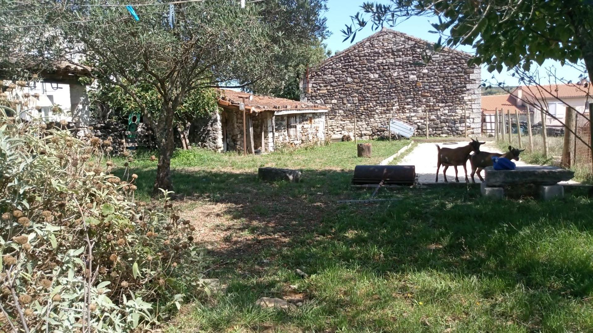 Maison sud Ardèche lavilledieu