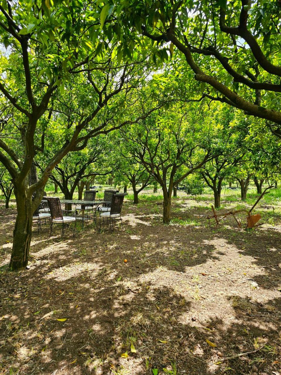 Villa Desiderio Lumina Suites eleganti camere con bagno privato vicino Pompei
