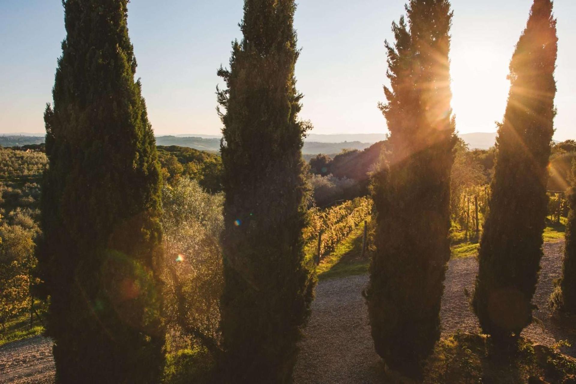 Fattoria Di Corsignano