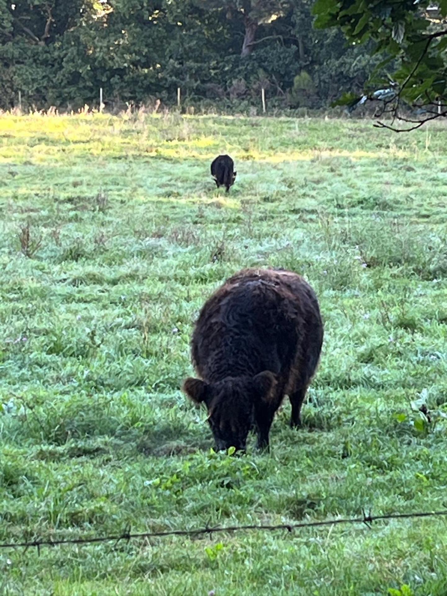 Alternative zum Hotel Zimmer im Einfamilienhaus-eigenes Badezimmer im Flur