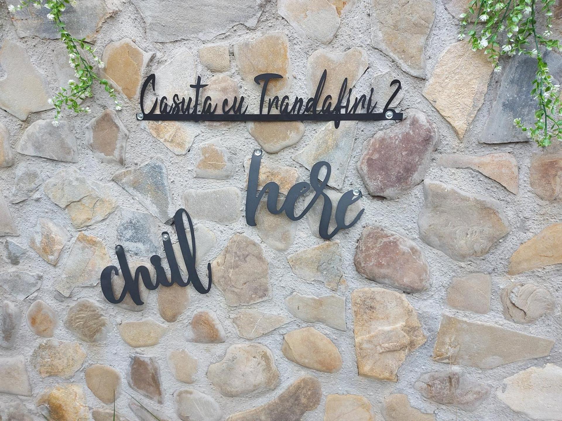 Pensiunea Casuta cu Trandafiri 2