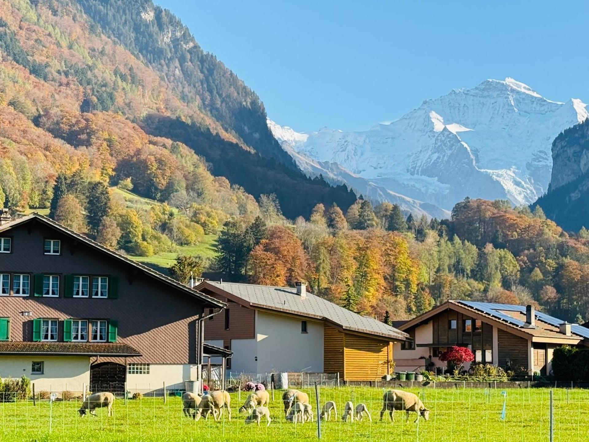 S&P Mountain View Apartment 2