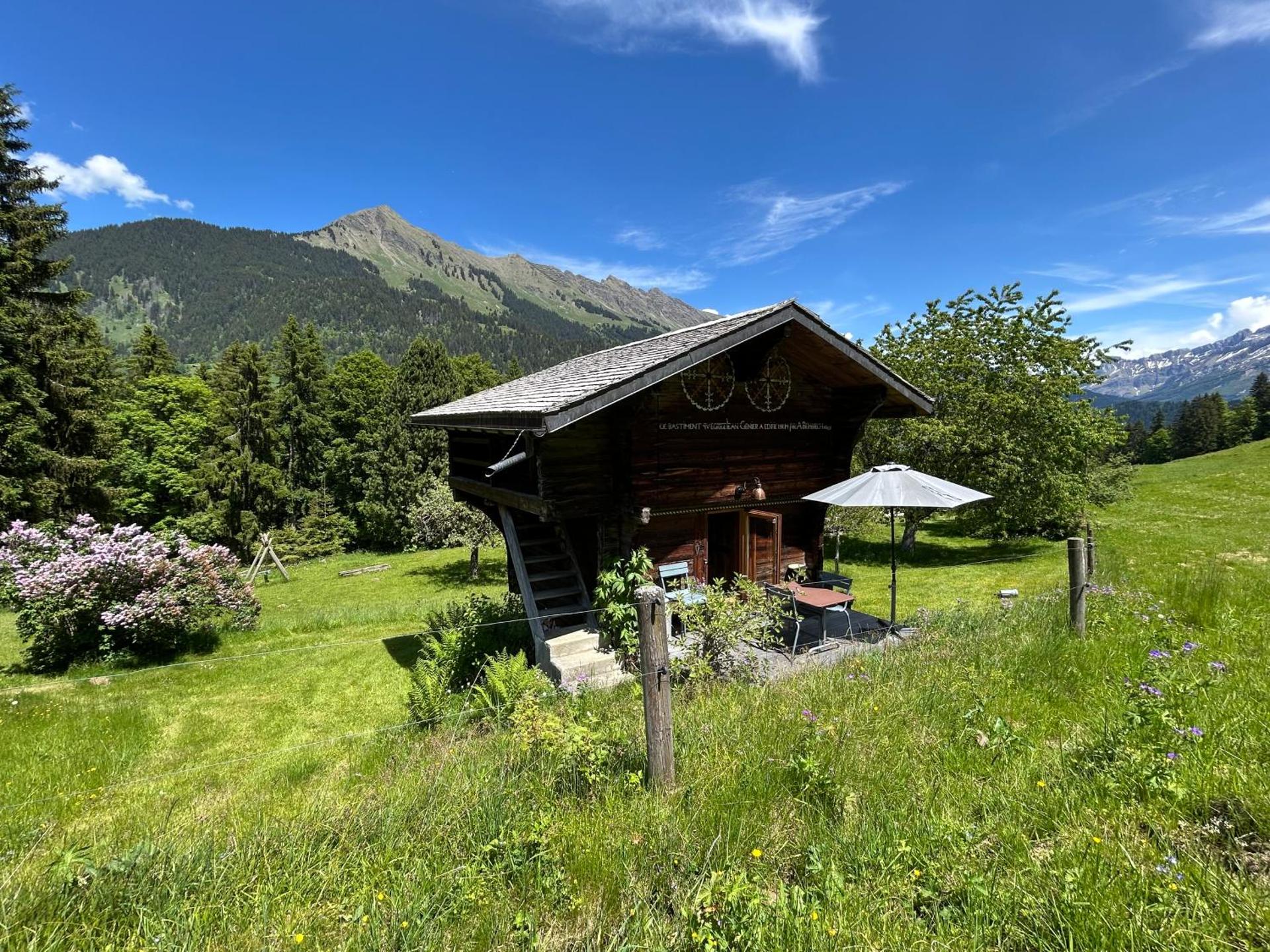 View (from property/room)