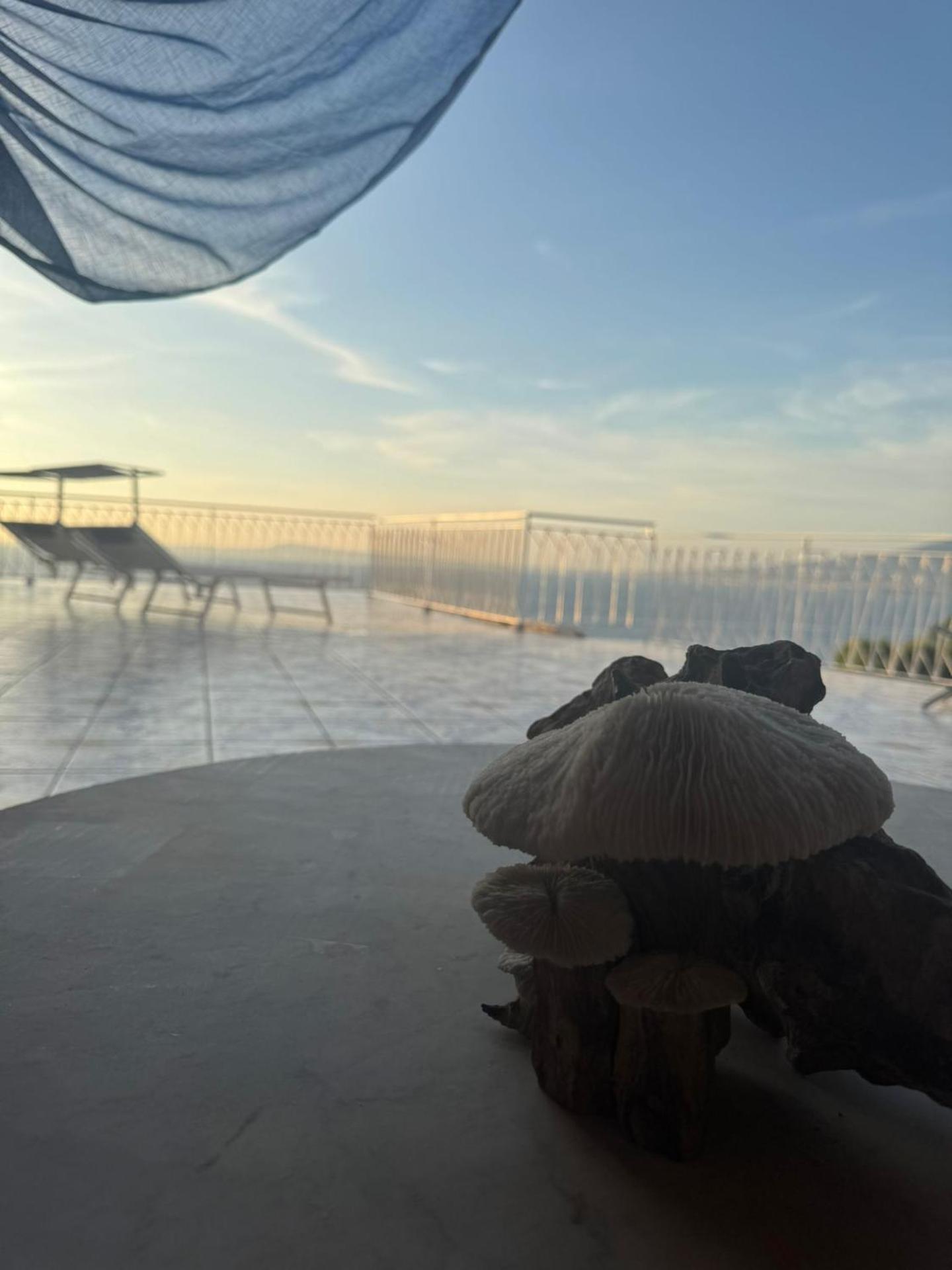 The Dreamer's Terrace